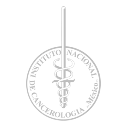 INCAN Logo